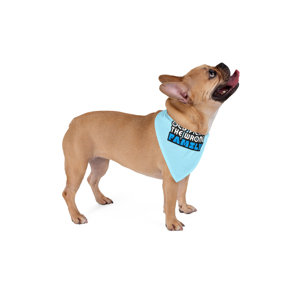 "OCD Picked the Wrong Family" - Pet Bandana
