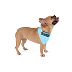 "OCD Picked the Wrong Family" - Pet Bandana