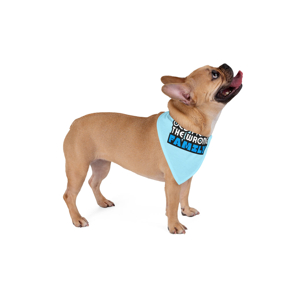 "OCD Picked the Wrong Family" - Pet Bandana